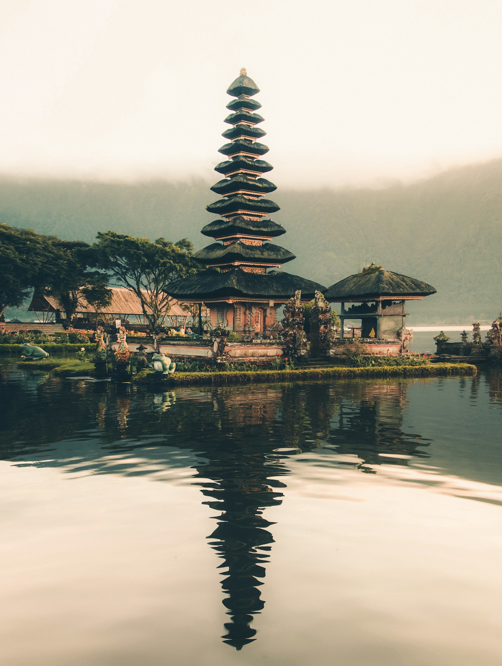 Rice terraces in Bali